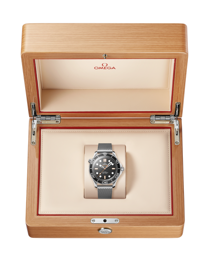 Seamaster Diver 300M 42 mm Steel on Steel