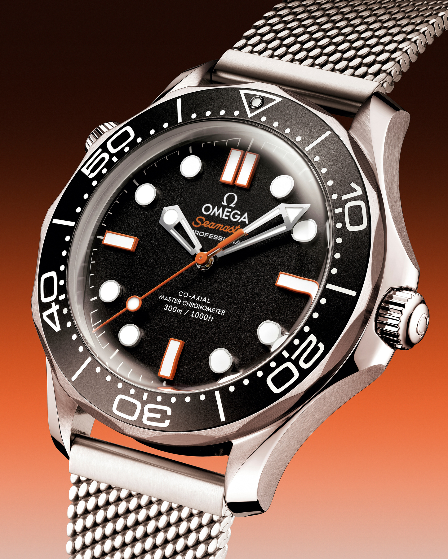 Seamaster Diver 300M 42 mm Steel on Steel